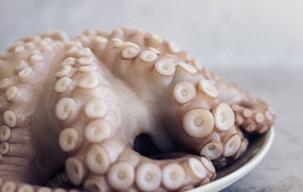 pulpo-crudo-1.jpg